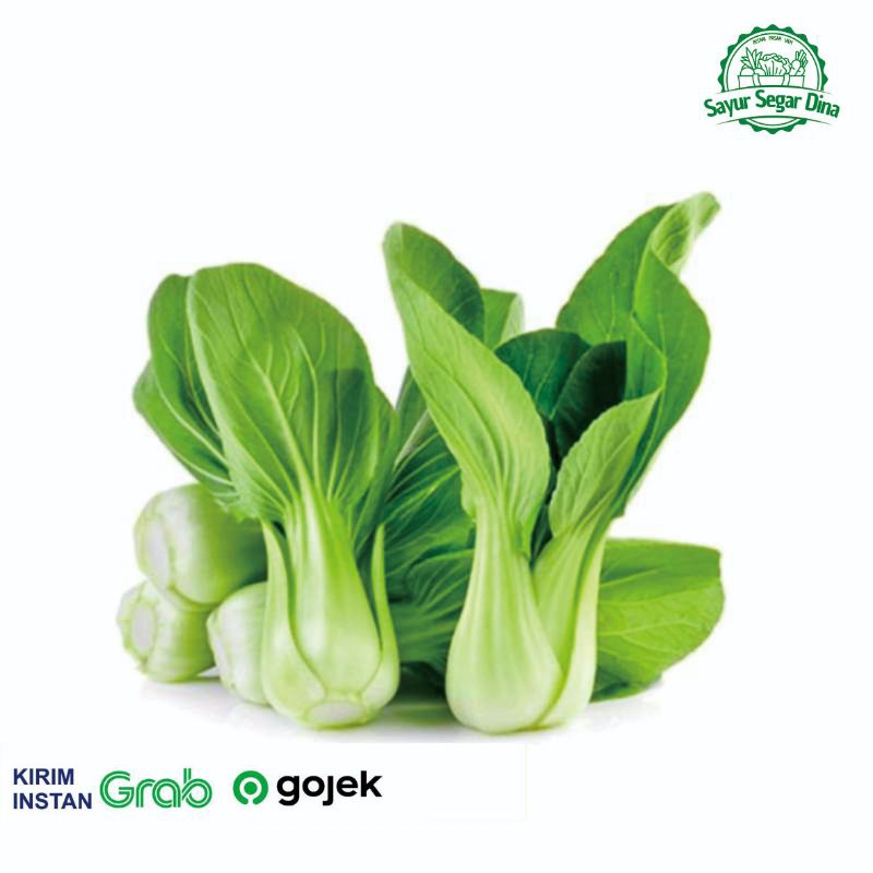 

Pakcoy Segar atau Sawi Daging - 250 gr
