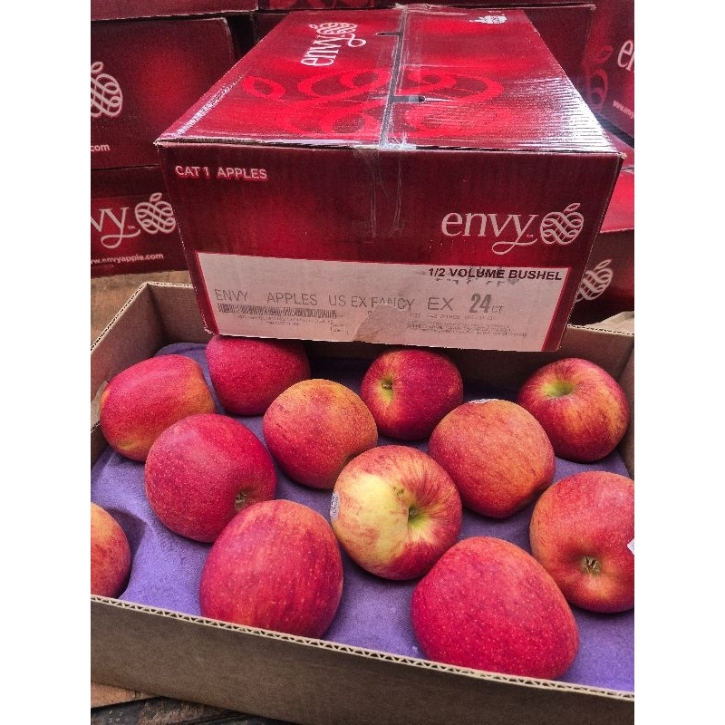 

Envy Apples Us Ex Fancy EX 24