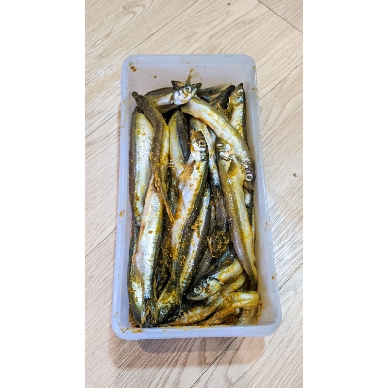 Ikan Shisamo Frozen Ikan Capelin Frozen 1 kg Ikan Shisamo Beku