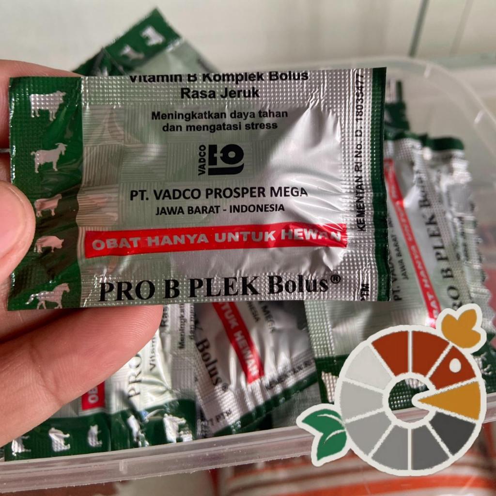 Vitamin B Kompleks Bolus- Nafsu Makan Sapi Kambing Babi