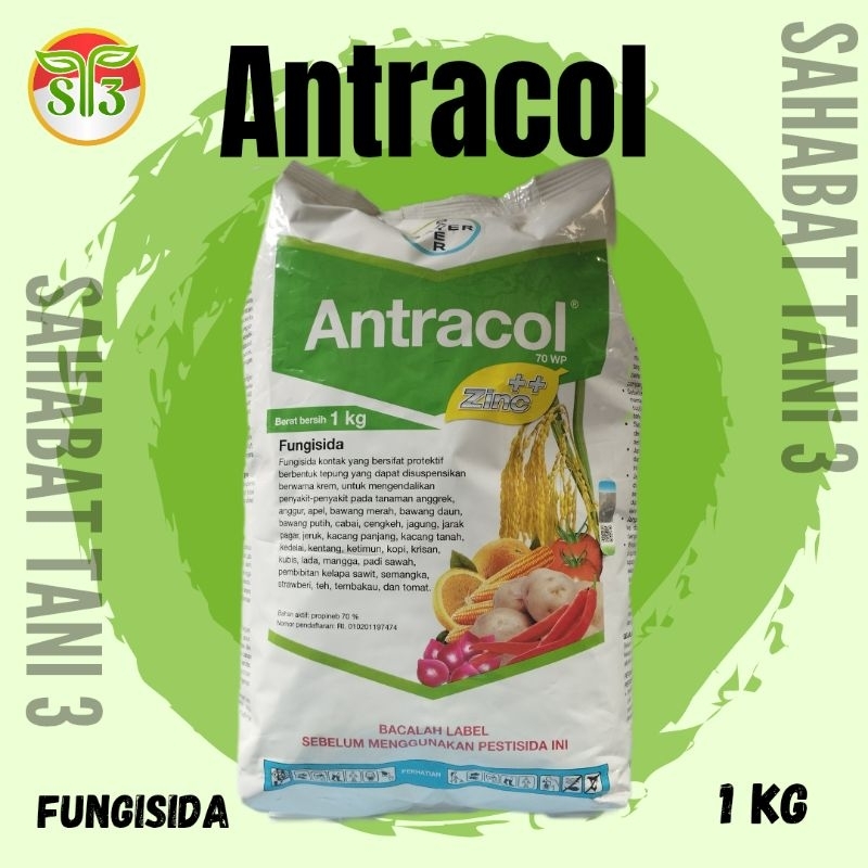 ANTRACOL 70WP 1Kg | Fungisida Bayer | Fungisida Kontak