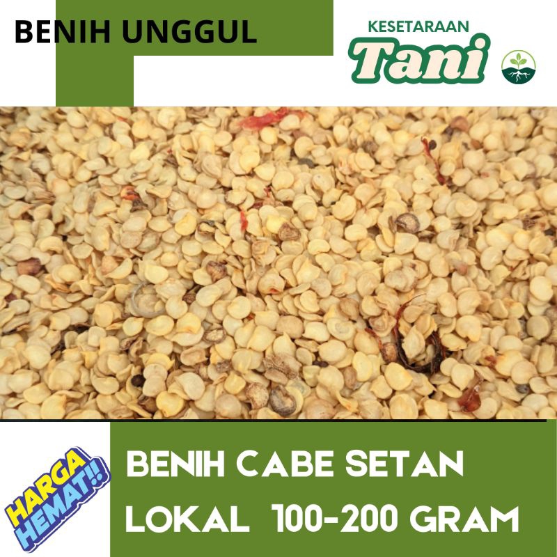 

150 GRAM CABE RAWIT SETAN