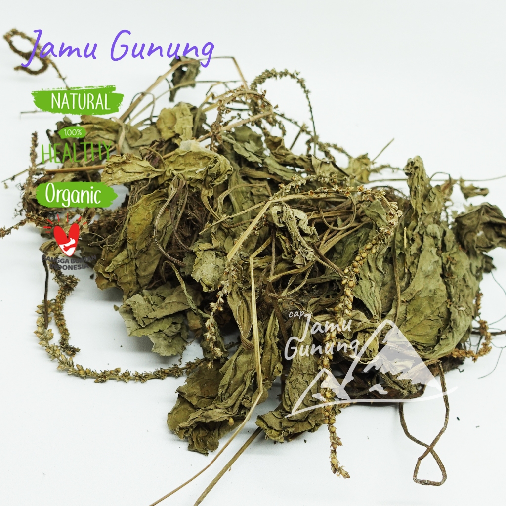 

Daun Sendok 1kg Kering Sendokan Asli