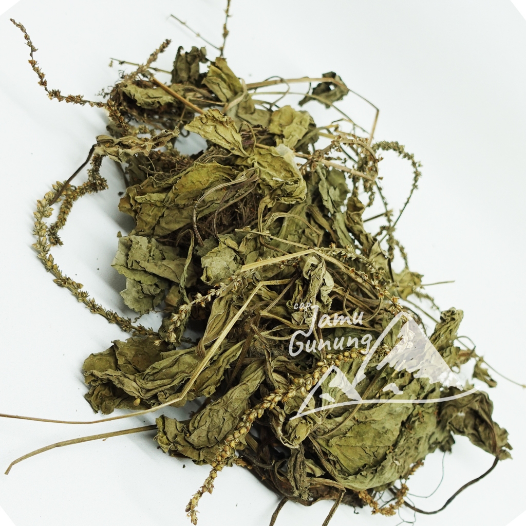 

Daun Sendok Kering 250gr Sendokan Asli