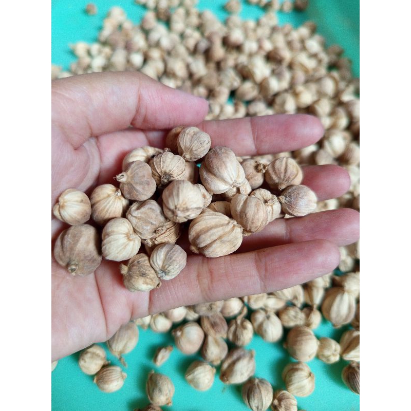 

Kapulaga Kering 100gr, 500gr