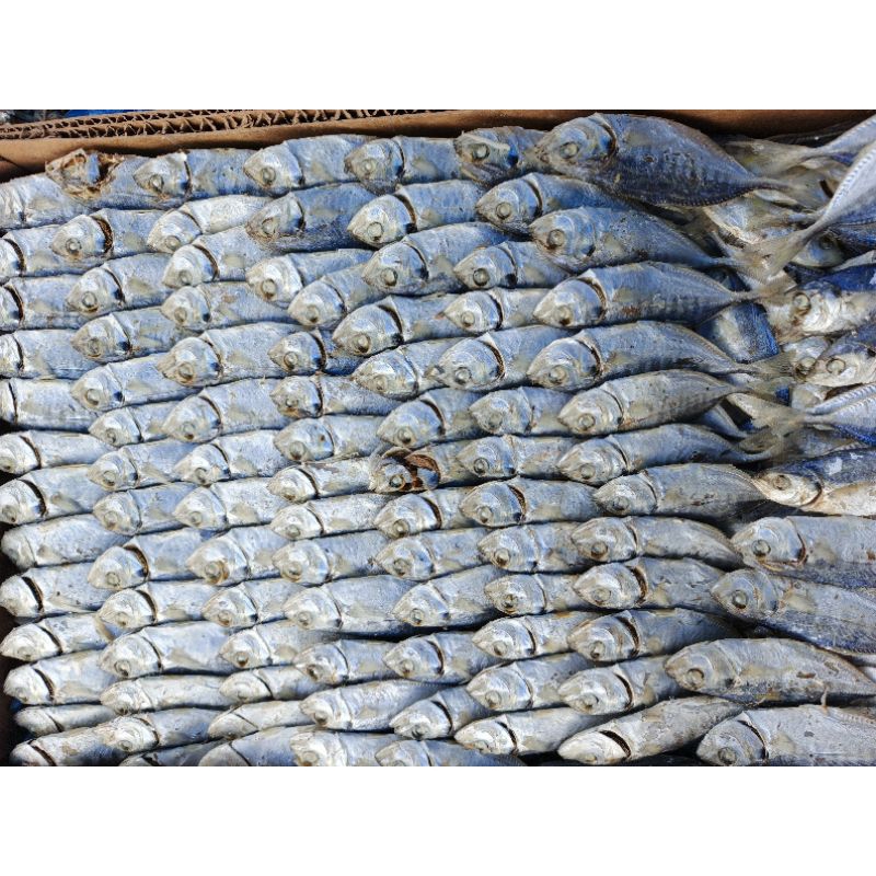 

Ikan Gelek Ikan Selar Rebus