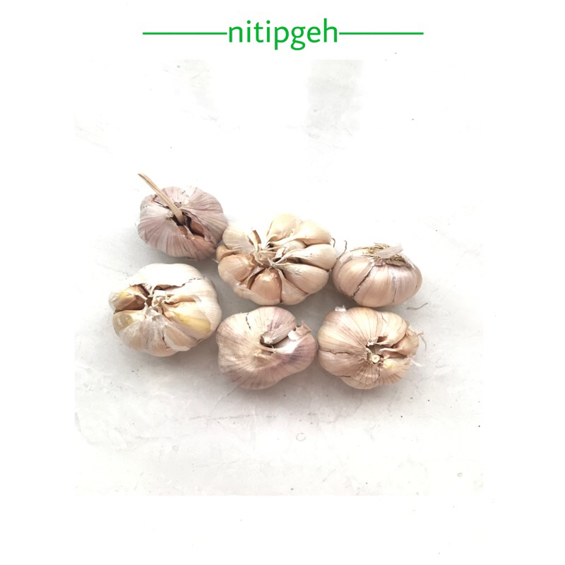 

nitipgeh Bawang Putih 250g
