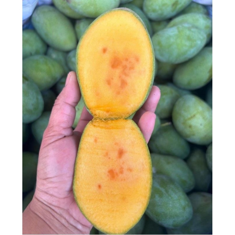 

mangga manalagi madu manis pengiriman bandung-cimahi