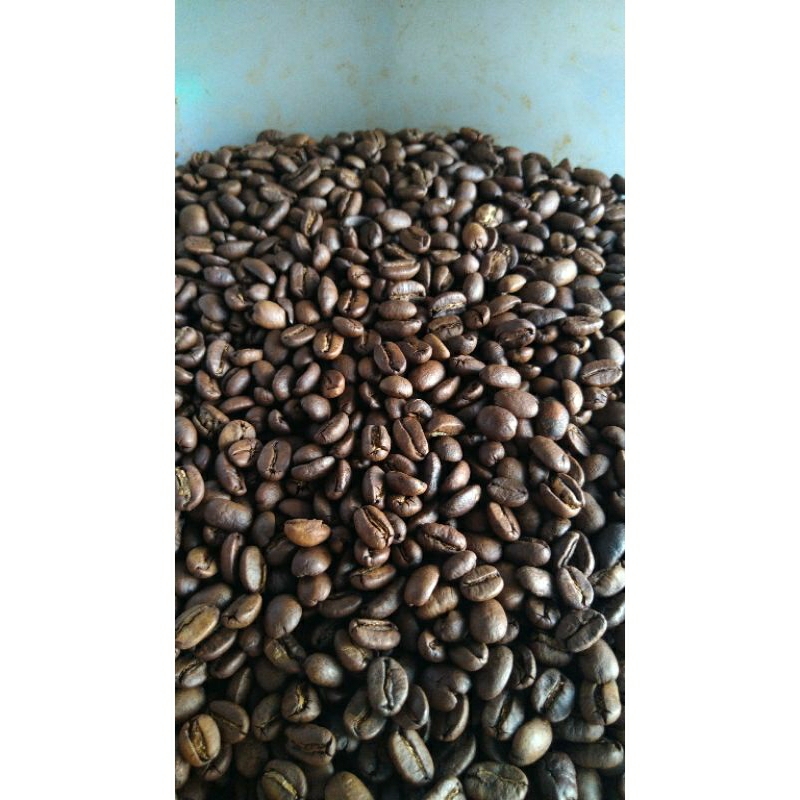 

Kopi arabica aceh Gayo100% murni arabica