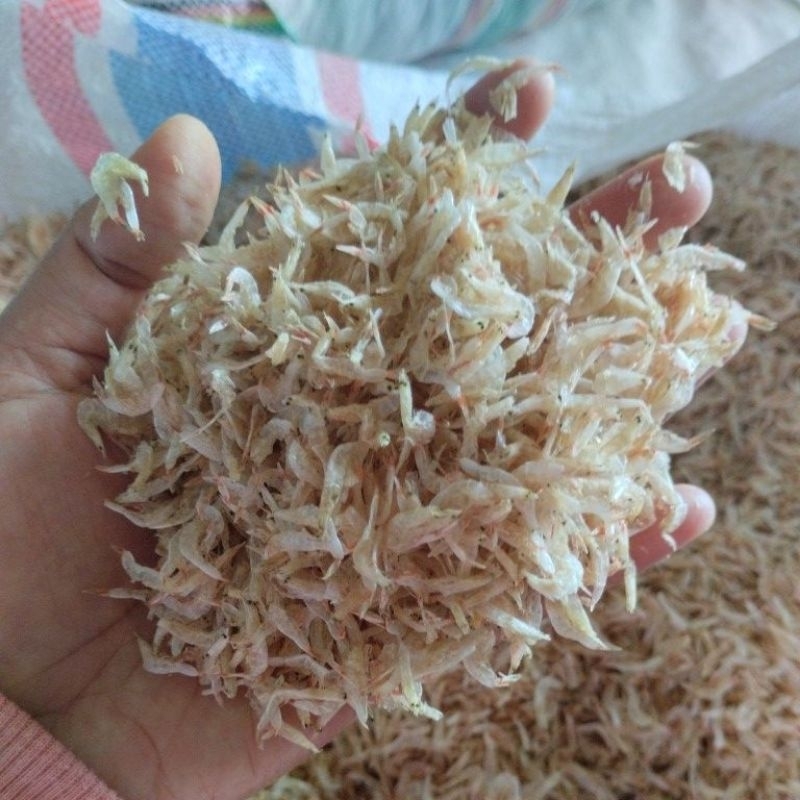 

Udang Rebon Super