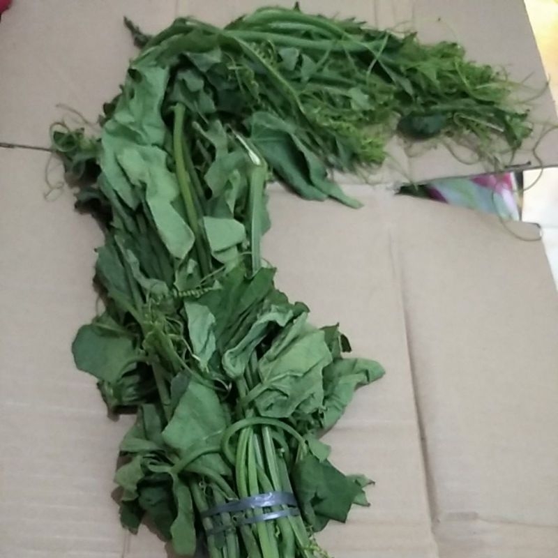

Sayur pucuk Manisah LabuSiam Jipang Gondes segar