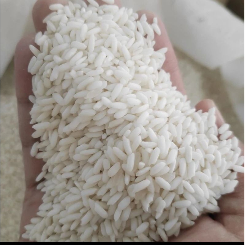 

1 bks beras ketan putih medium 1 kg