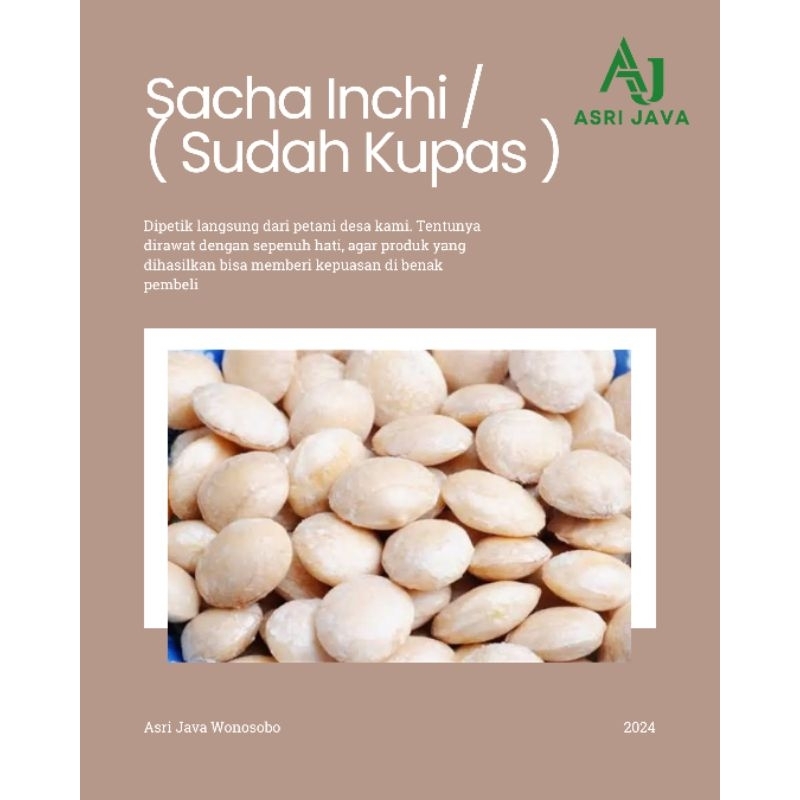 

Kacang Sacha Inchi 1kg ( Sudah Di Kupas ) Grade A Konsumsi