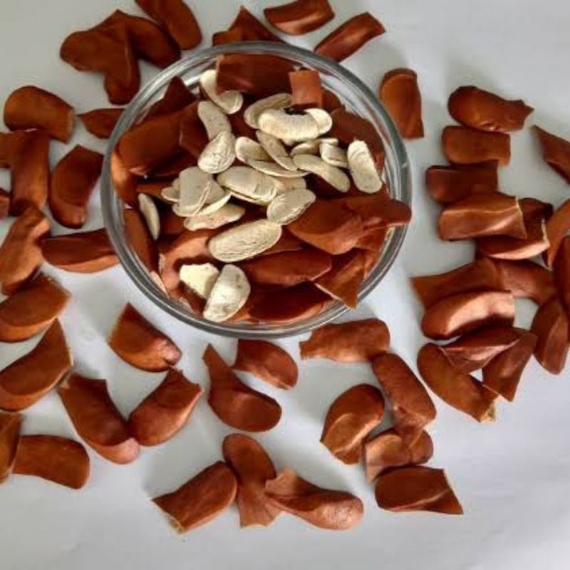 

Biji Mahoni Premium 500 gram / Biji Mahoni / Herbal / Buah Mahoni