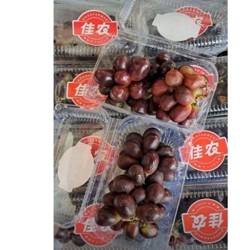 

ANGGUR JARI HITAM PER KG