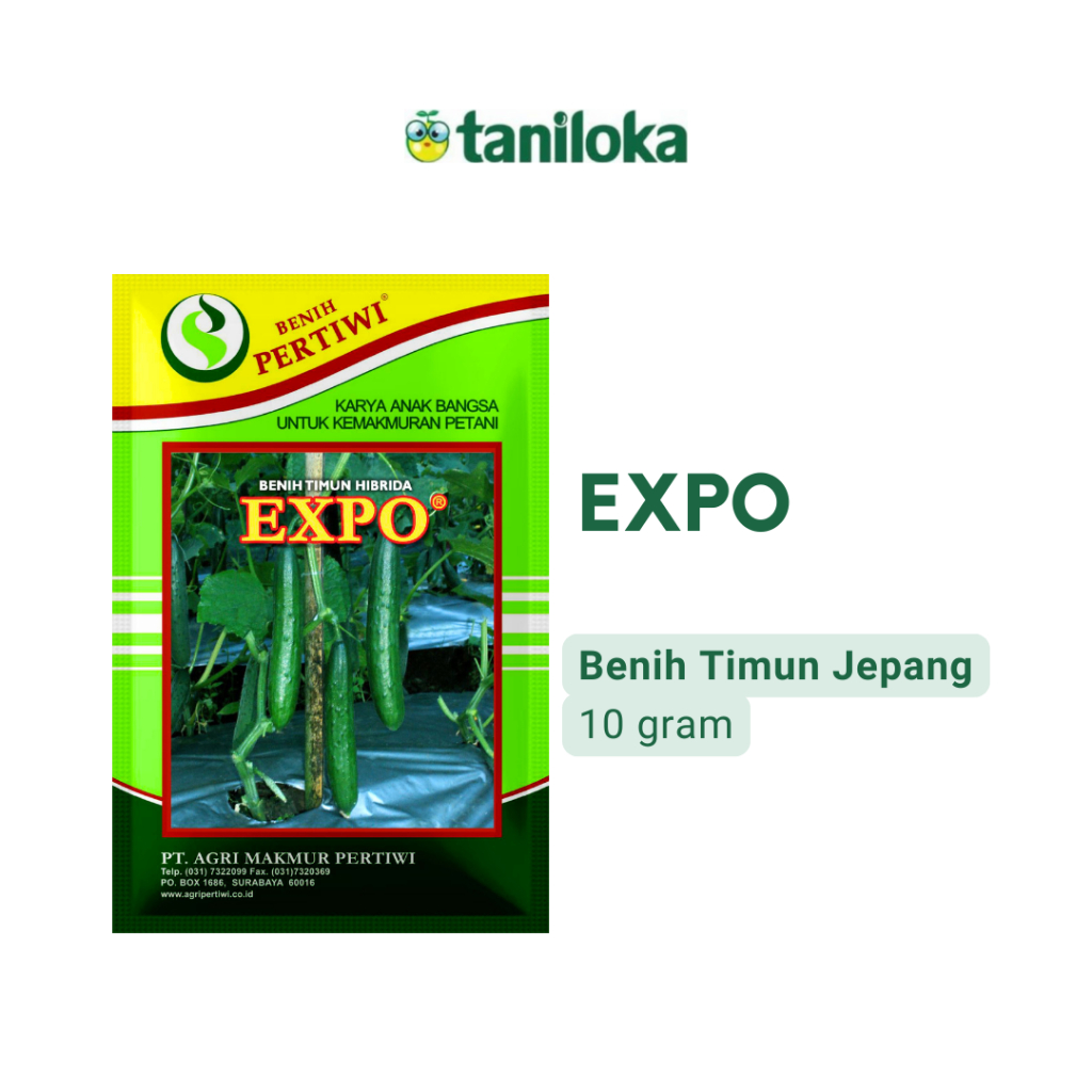 Benih Pertiwi - Benih Timun Jepang Expo (10 Gram)