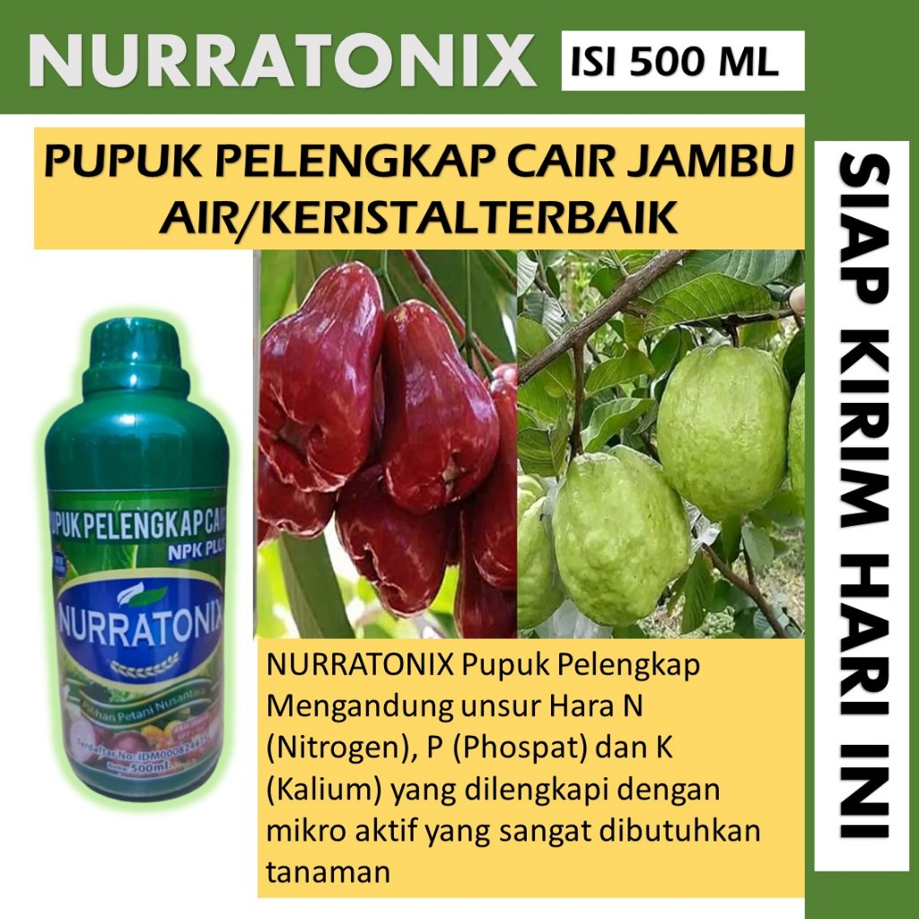 NPK NURRRATONIX 500 ml pupuk perangsang buah jambu air terbaik - pupuk pembesar buah jambu air/krist
