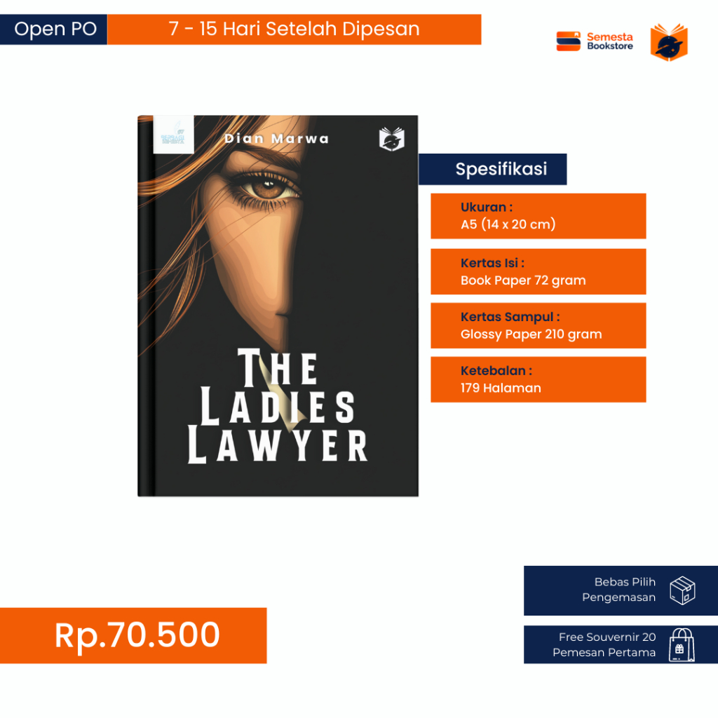 Novel Fiksi The Ladies Lawyer