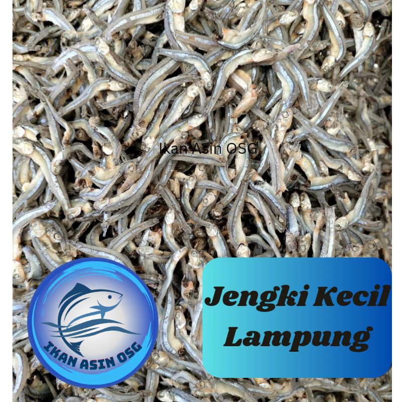 

Ikan Asin Teri Jengki Kecil Lampung size 2.5-3cm