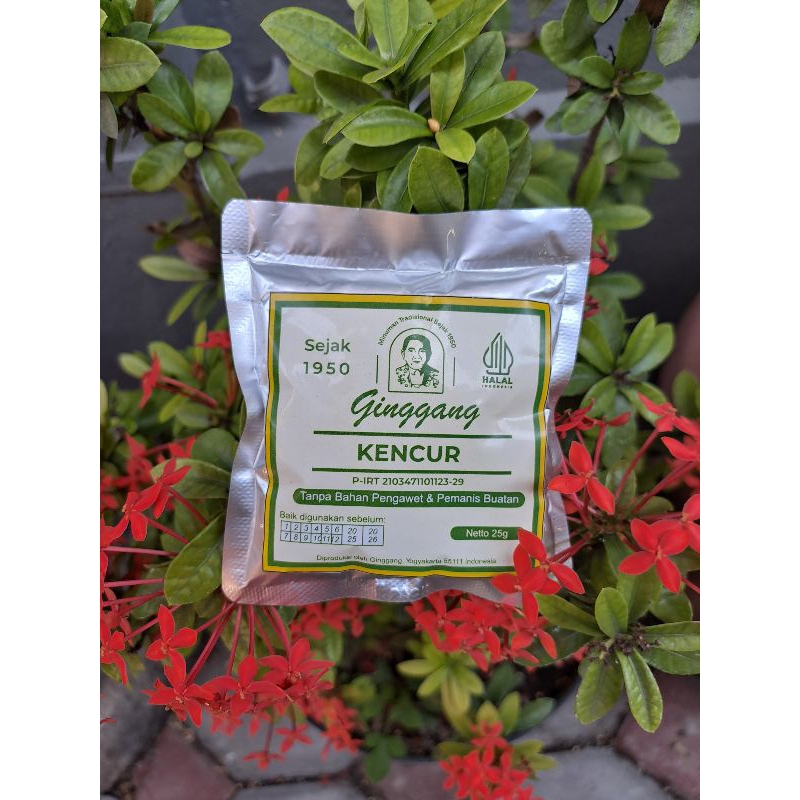 

Kencur Bubuk Sachet 25 gram