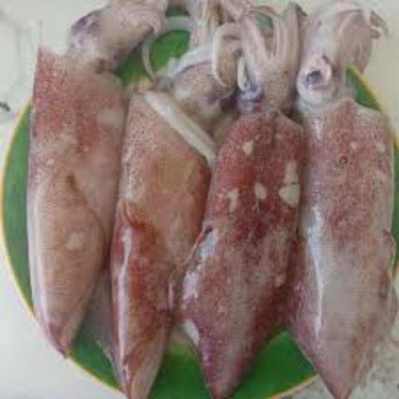 

Cumi medium frozen