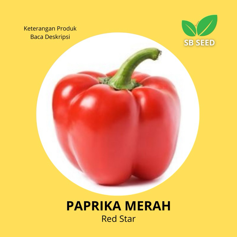 BENIH PAPRIKA MERAH RED STAR