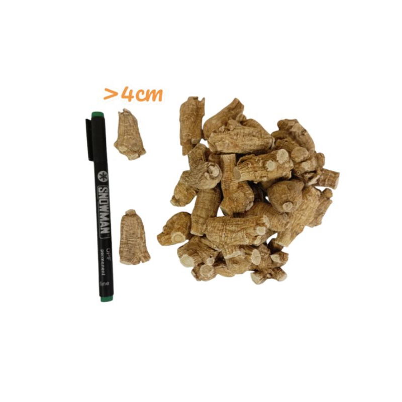 Ginseng Canada Phao Som 40 Gram