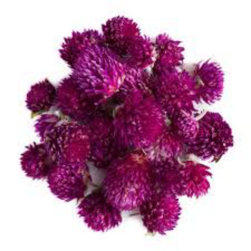 

Teh Bunga Globe Amaranth 100 Gram Bunga Kenop