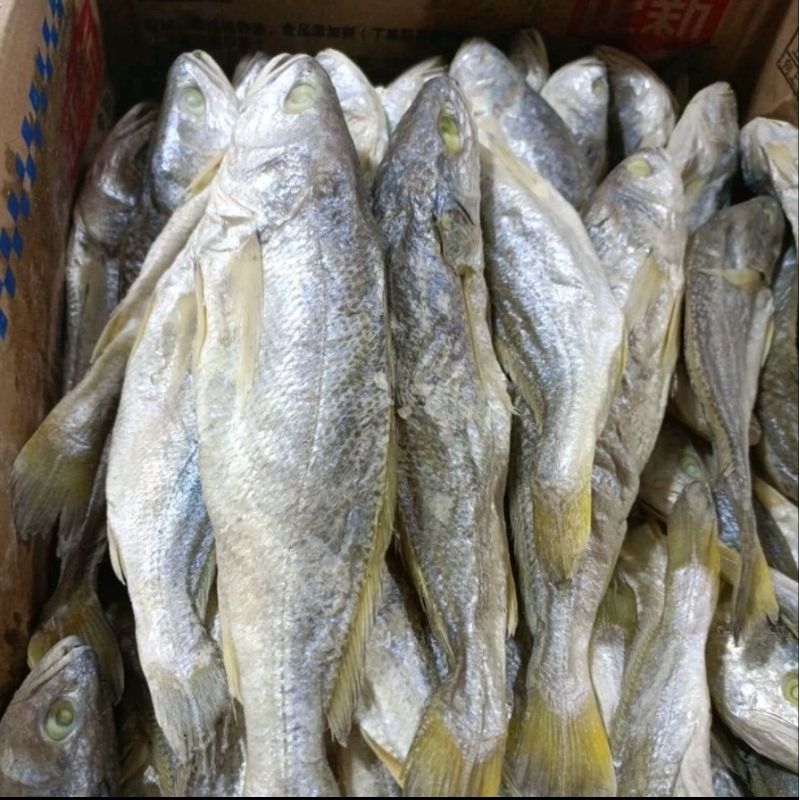 

Ikan Asin samge panjang Medan 250gr