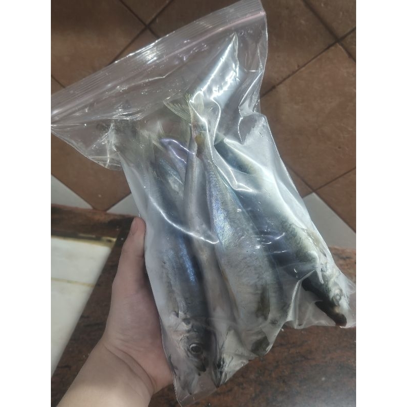 

Chang Fish Ikan Serai Besar Beku Fresh