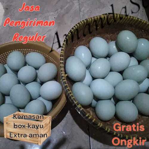 

TELUR bebek mentah langsung dari kandang gratis kemasan Box kayu extra aman