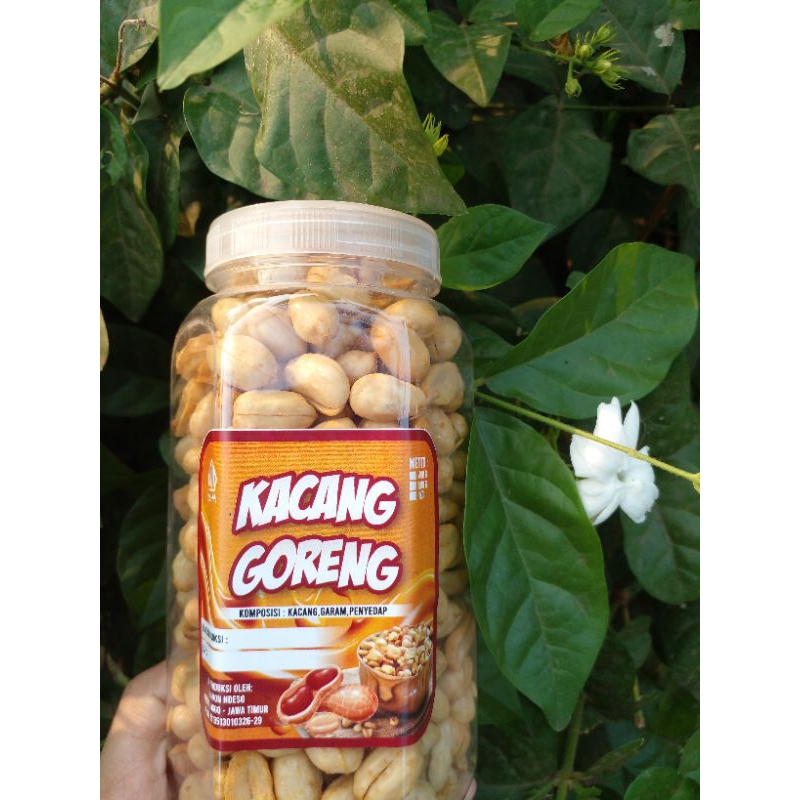 

1 toples kacang jumbo premium asin gurih manis