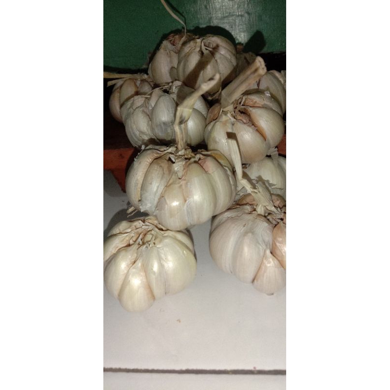 

bawang putih 1kg