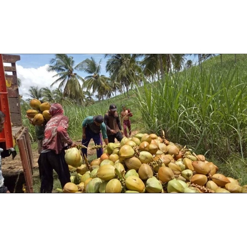 

Diamond coconut