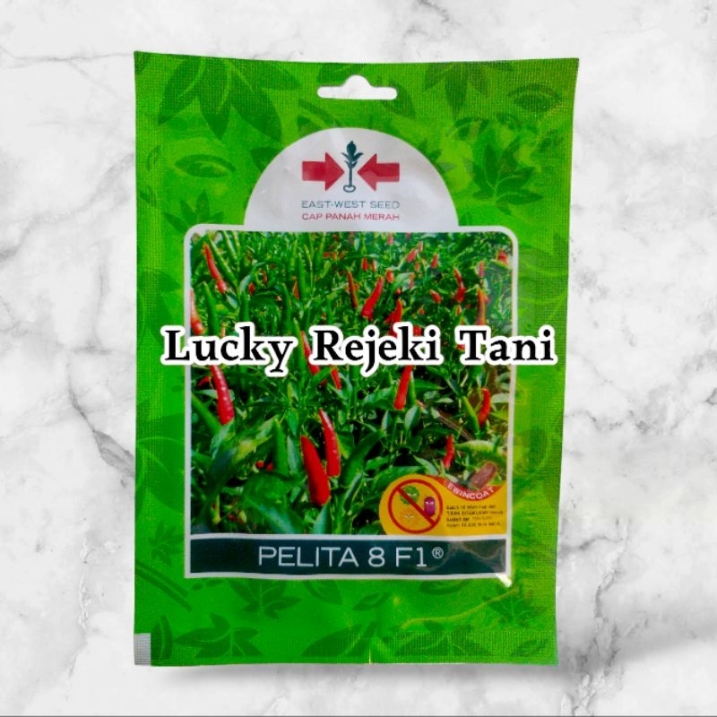 Benih Cabe Rawit Pelita 8 F1 - Panah Merah