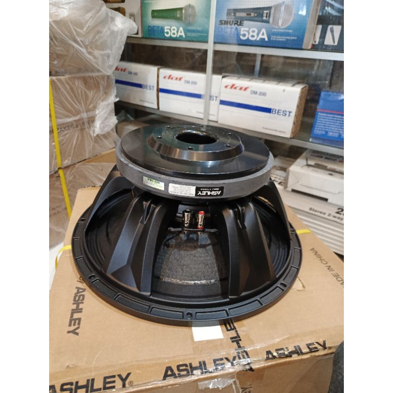SPEAKER ASHLEY LF18V500 ORIGINAL