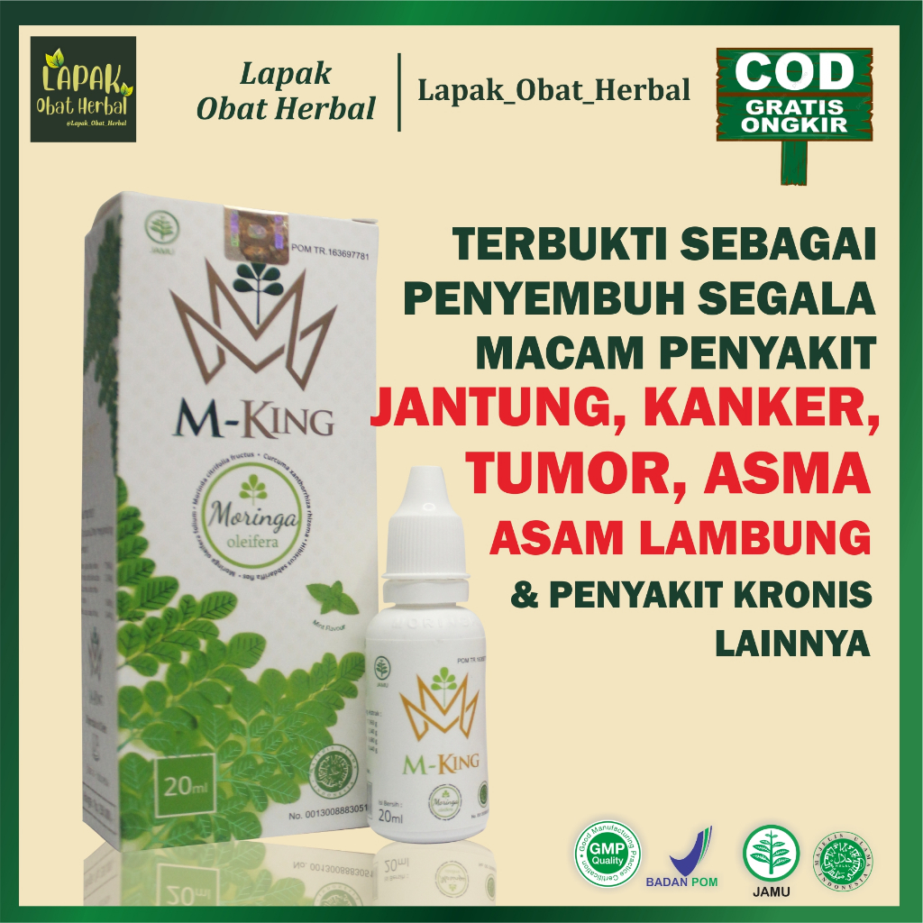 MKING / Moringa King Jamu Tetes Herbal 100% Original BPOM