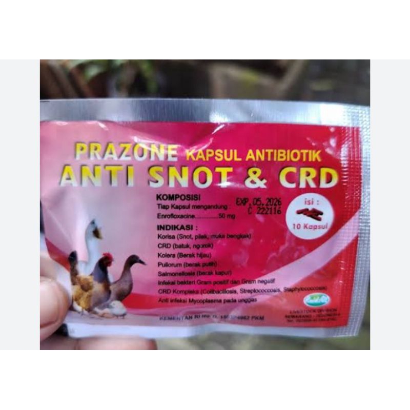 Prazone Antibiotik Atasi Snot Crd Ayam Unggas