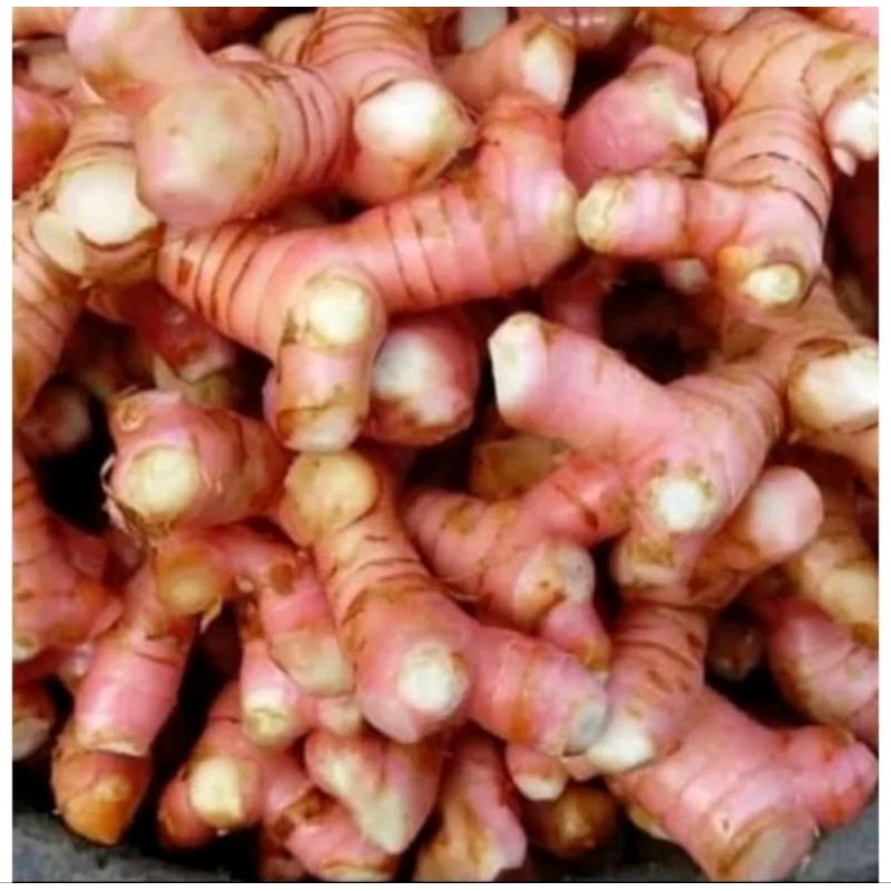 

Lengkuas Segar 1kg