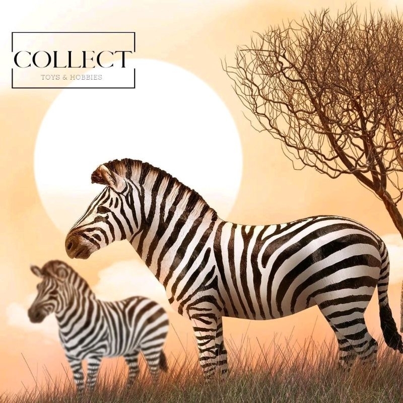 CollectA Common Zebra 88830 Zebra Afrika Animal Figure Figurine Figur Miniatur Hewan Binatang Hobi K