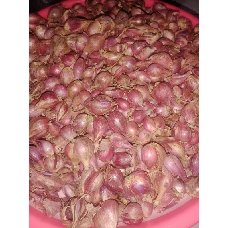 

bawang merah bessr harga murah 500gr