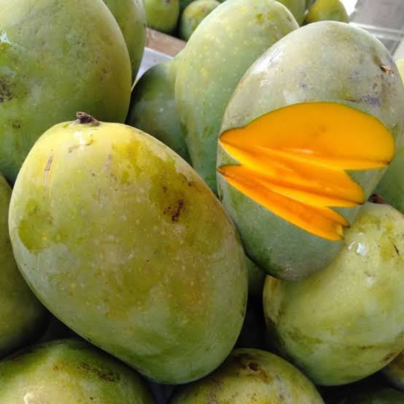 

buah mangga great A