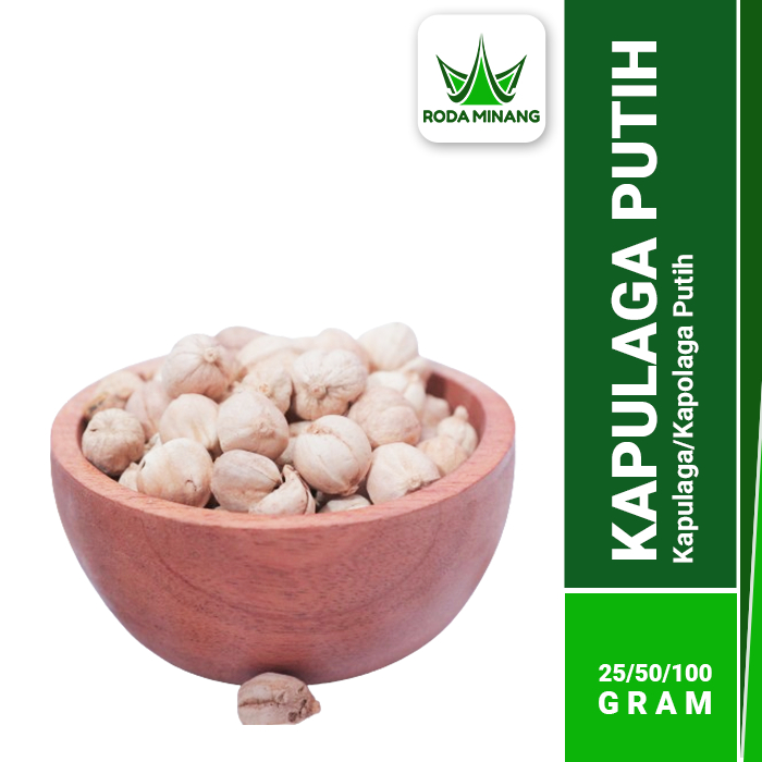 

Kapulaga Putih Kapolaga Lokal Bulat White Cardamon Kapol Butir Kering Bal Dou Kou Masak Premium - 100 Gram