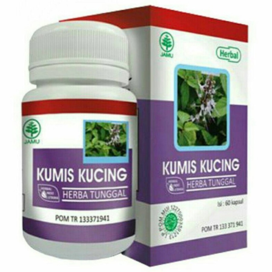 Kumis Kucing HIU, ISK, Infeksi ginjal akut, Batu Ginjal, Diabetes