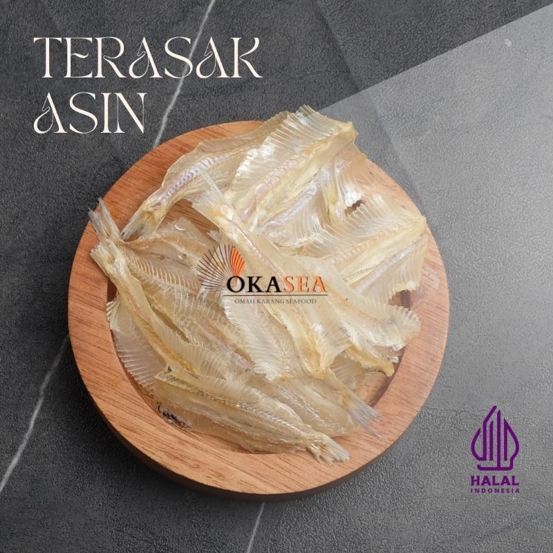 

Okasea - Ikan Asin Terasak/kapasan Premium Gurih bebas bahan pengawet kimia