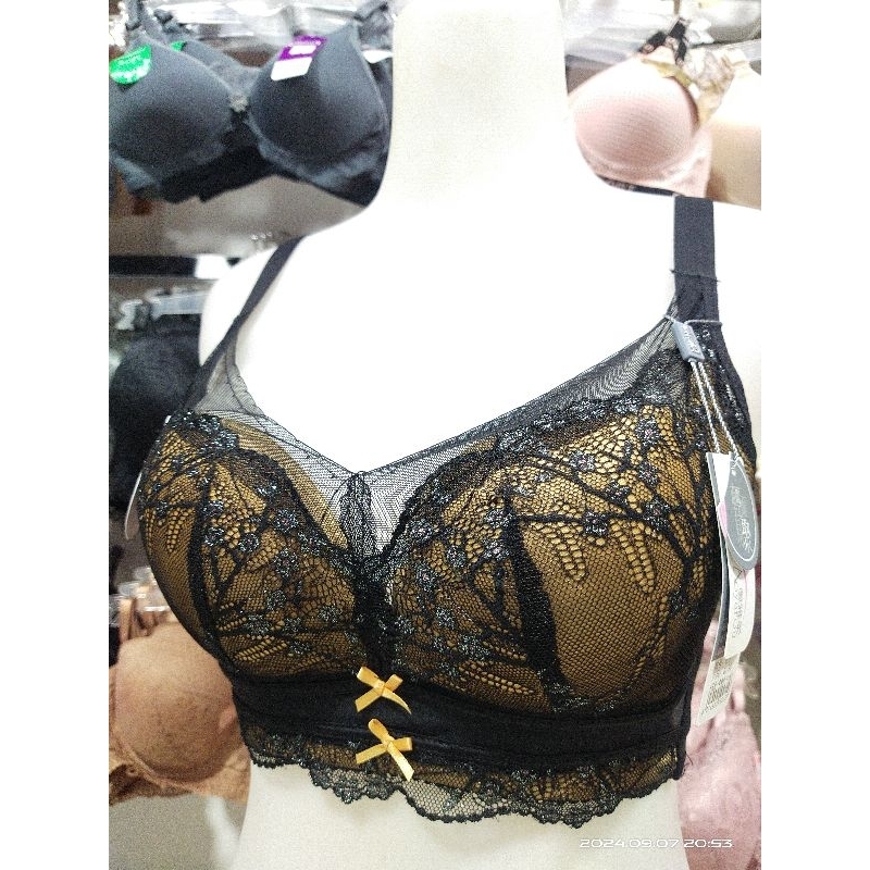 bra penekan lemak premium