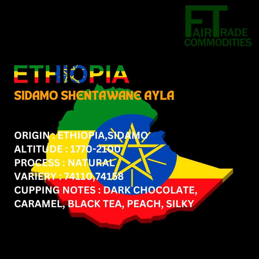 

ETHIOPIA SIDAMO SHENTAWENE AYLA || GREEN BEANS || BIJI KOPI MENTAH