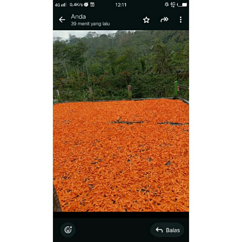 

kripik slondok balado 1KG (MENTAH)