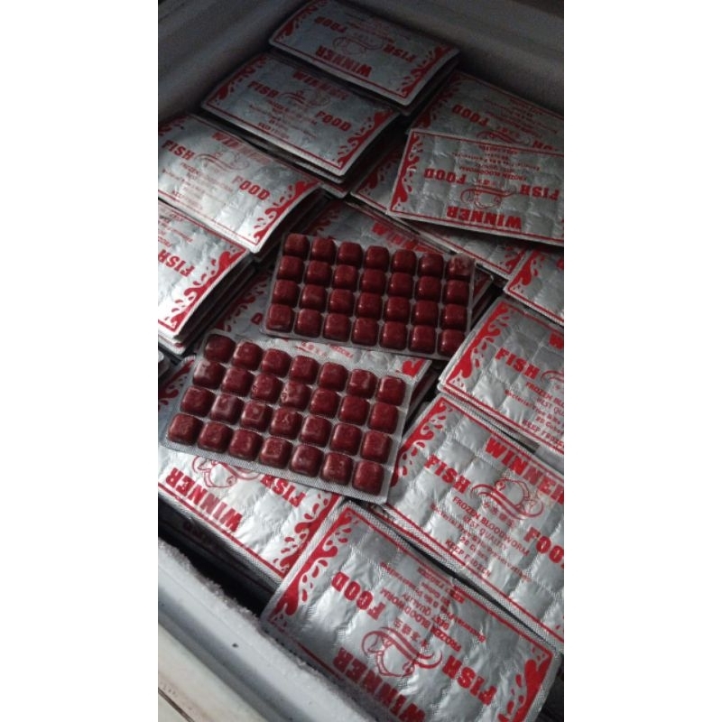 Xcamellyaa Cacing Beku Cabek Platinum , Cabek Winner . Malang Khusus Pengiriman T