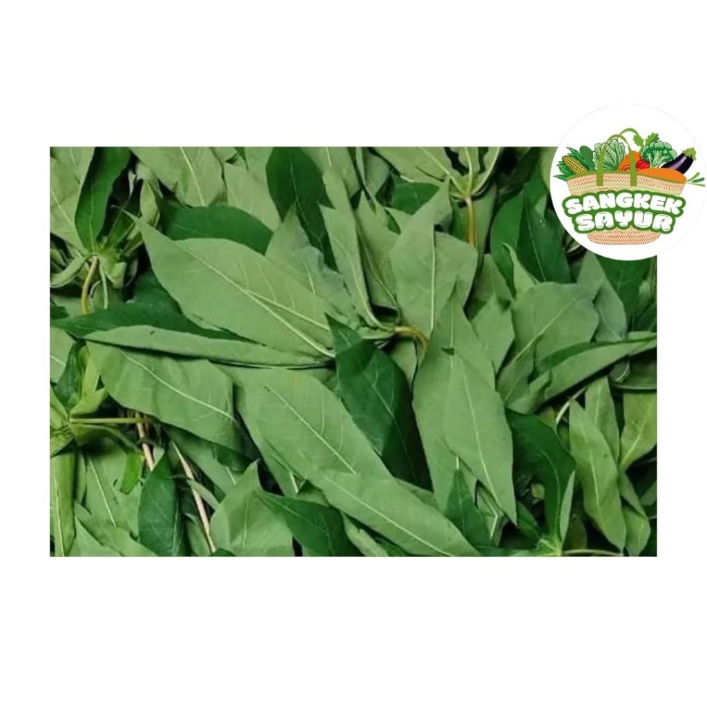 

Daun Singkong per Ikat - sangkek.sayur PALEMBANG